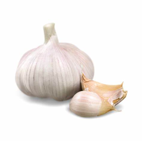 Garlic Super Colossal 1ct