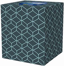 Member's Mark Facial Tissue 3-Ply 80ct Cube