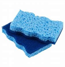 EV Non-Scratch Scrub Sponges 2ct