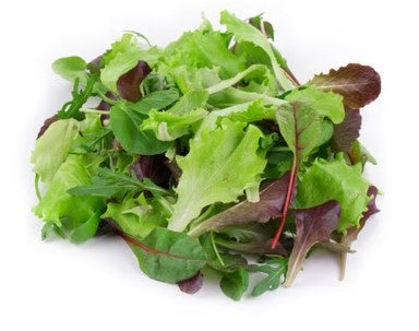 Lettuce Little Leaf Baby Spring Mix 4oz