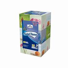 Member's Mark Facial Tissue 3-Ply 80ct 12 Pack Cube Bundle