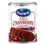 Ocean Spray Jellied Cranberry Sauce 14oz