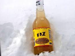 Fiz Pop Jamaican Stone Ginger Beer 4 pk